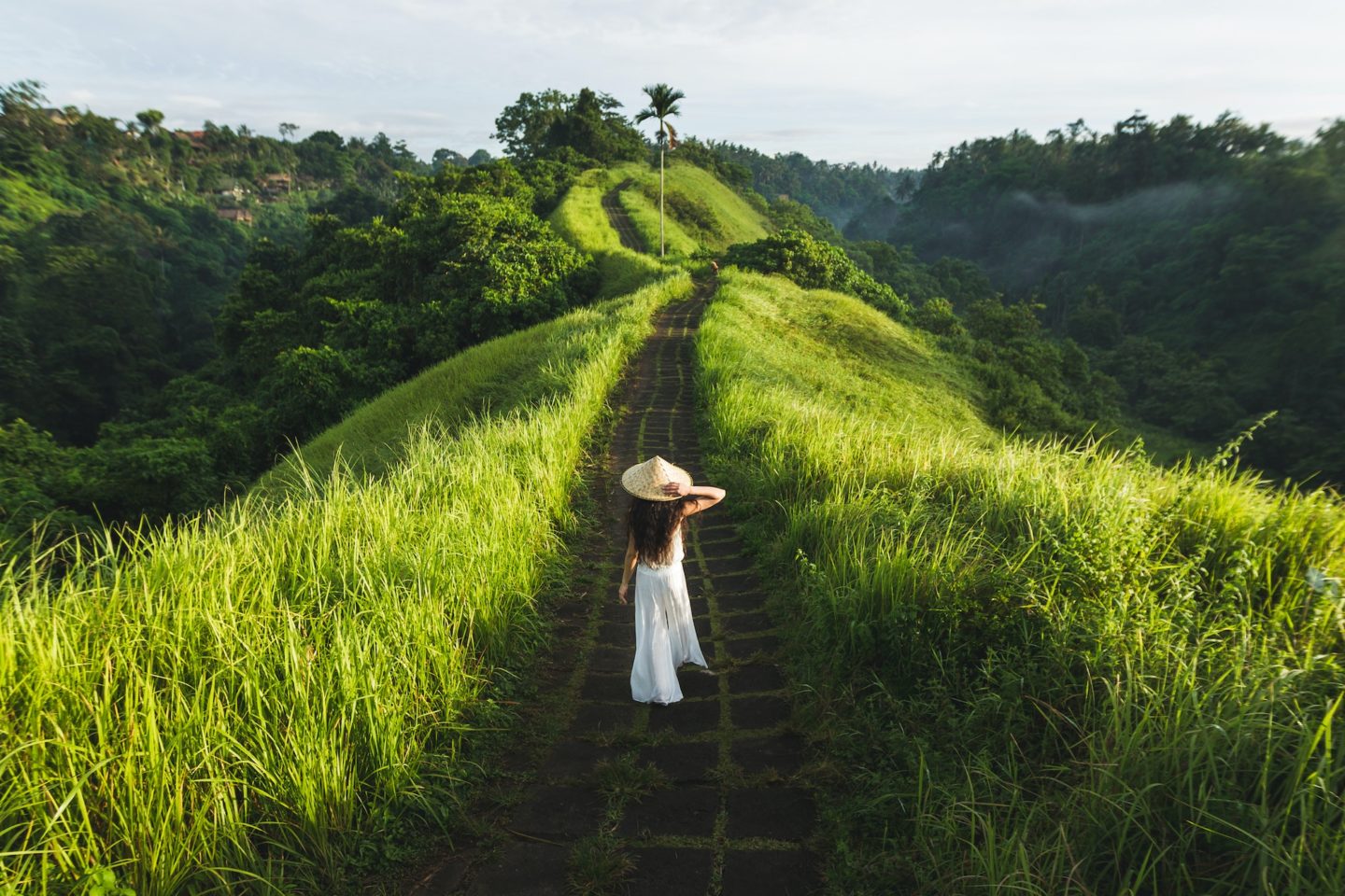 Ubud Ridge Travel